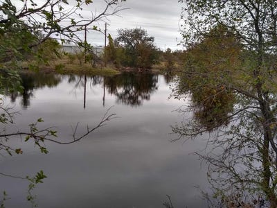 /international/us/520-cr-403-llano-tx-110089791218/