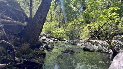 /international/us/1200-east-branch-rd-weaverville-ca-110108386685/