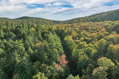 /international/us/m-027-l-002-001-sheridan-road-moultonborough-nh-110102118438/