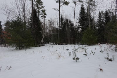 /international/us/012-013-01-bert-berry-road-embden-me-110104608617/