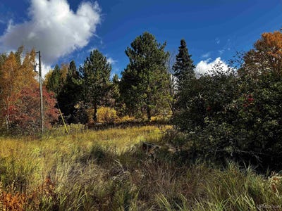 /international/us/20191-keranen-road-l-anse-mi-110120418815/