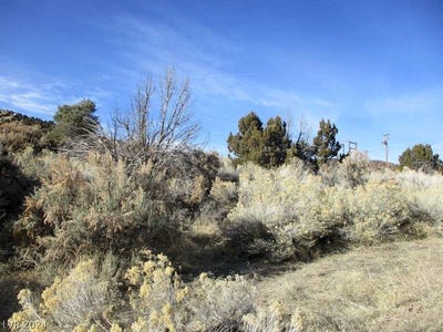 /international/us/nevada-hwy-322-2-46-ac-pioche-nv-110090876109/?lang=zh-tw