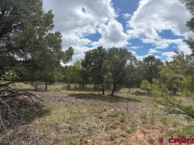 /international/us/tower-road-n-lot-4-ridgway-co-110108475278/