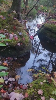 /international/us/muzzy-hill-road-milan-nh-110120416917/