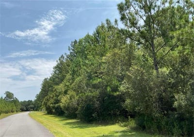 /international/us/0-la-vento-lane-waverly-ga-110100186798/