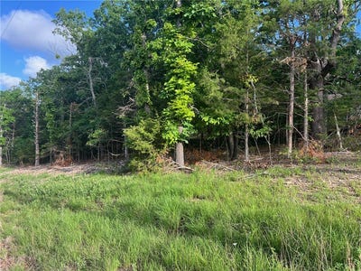 /international/us/diamond-point-boulevard-lot-4-26-diamond-city-ar-110107634146/