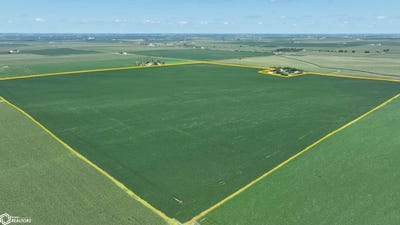 /international/us/cedar-jones-rd-at-king-ave-clarence-ia-110101458006/