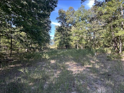 /international/us/ff-1-doniphan-mo-110102019398/
