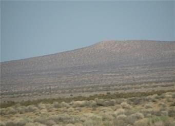 /international/us/0542011710000-newberry-springs-ca-110094865977/
