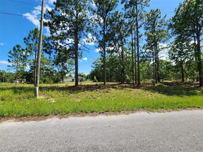 /international/us/malauka-radial-run-ocklawaha-fl-110100721379/?lang=zh-cn