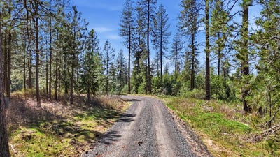 /international/us/6xxx-e-elk-chattaroy-rd-chattaroy-wa-110107208035/
