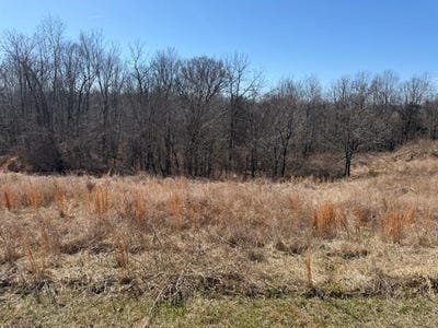 /international/us/landings-court-lot-7-ky-110106326569/