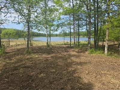 /international/us/lot-10-county-road-30-crosby-mn-110098977721/