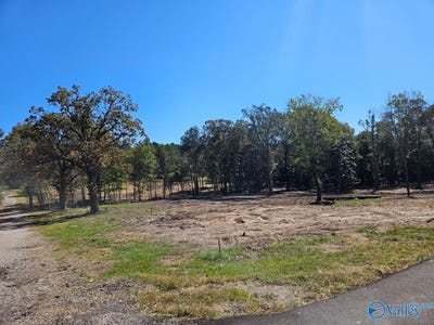 /international/us/pratt-avenue-lot-1-centre-al-110103104116/