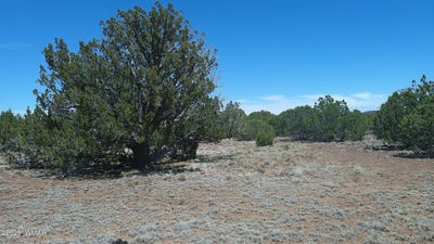 /international/us/tbd-show-low-40ac-show-low-az-110101238019/?lang=pt
