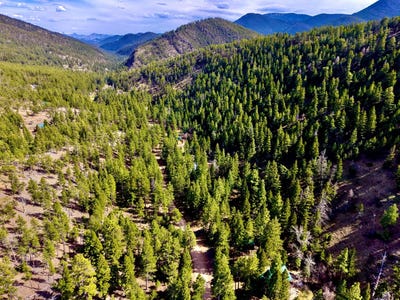 /international/us/3925-little-wolf-creek-road-wolf-creek-mt-110105641798/