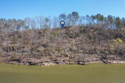 /international/us/lot-8-flat-rock-cove-crane-hill-al-110101065232/
