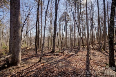 /international/us/004-high-road-court-lake-lure-nc-110105907089/