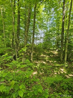 /international/us/w-herzog-road-lot-w-herzog-rd-iron-mountain-mi-110110319517/