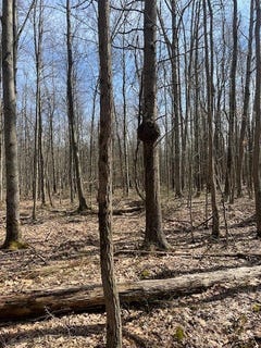 /international/us/40-acres-52nd-street-pullman-mi-110101009598/?lang=fr