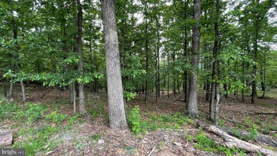 /international/us/bristol-court-lot-47-48-49-slanesville-wv-110108478508/