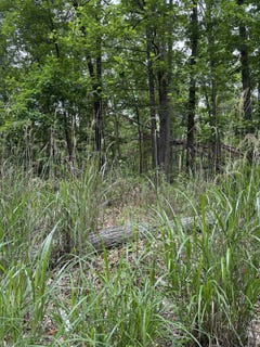 /international/us/lot-52-lake-dr-crimora-va-110108392538/