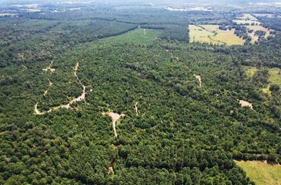 /international/us/county-road-3163-laneville-tx-110093814572/