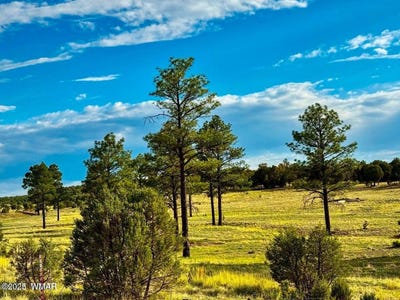 /international/us/tbd-flake-rd-lots-l-p-2-54-acres-overgaard-az-110101127753/?lang=en