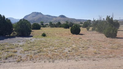 /international/us/120-phoenix-drive-magdalena-nm-110106800293/