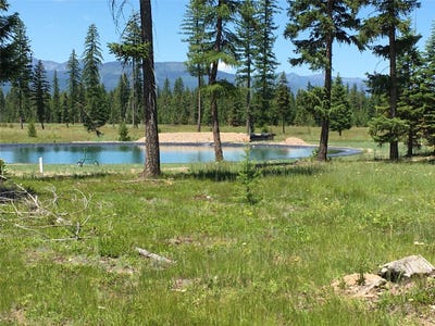 /international/us/234-mission-vista-lane-swan-valley-mt-110090131212/