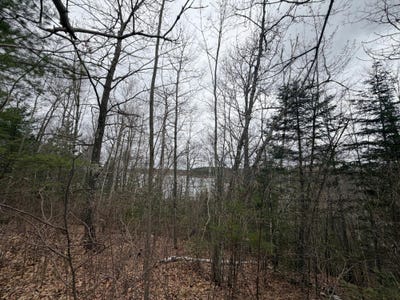 /international/us/bo-di-lac-rd-lot-2-lac-du-flambeau-wi-110106961288/