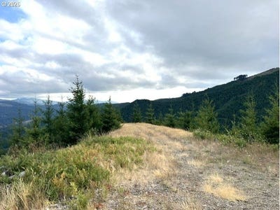 /international/us/northforkgalescreek-timber-or-110120712114/