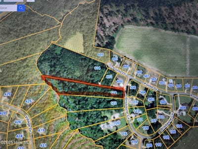 /international/us/124-brisbayne-circle-la-grange-nc-110099302045/