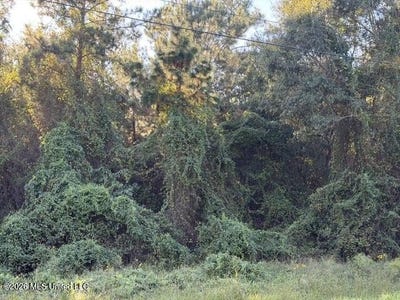 /international/us/w-wortham-road-lot-19-saucier-ms-110120725832/