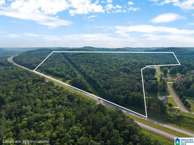 /international/us/lot-6-highway-75-oneonta-al-110100265869/?lang=zh-tw