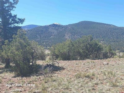 /international/us/311-vista-de-verde-circle-south-fork-co-110092046002/?lang=zh-cn
