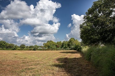 /international/us/2-acres-red-fox-road-tomball-tx-110104780917/