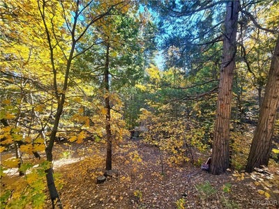 /international/us/brentwood-drive-lake-arrowhead-ca-110103203982/