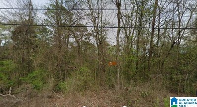/international/us/8665-clubhouse-circle-pinson-al-110101125865/?lang=zh-tw