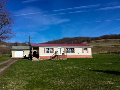 /international/us/2125-annin-creek-port-allegany-pa-110106734652/