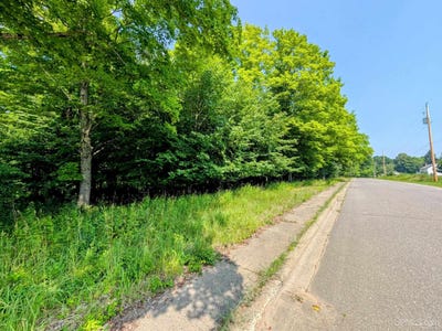 /international/us/4-45-acres-allen-iron-river-mi-110101073604/?lang=zh-tw