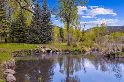 /international/us/220-county-road-342-chama-nm-110108098549/