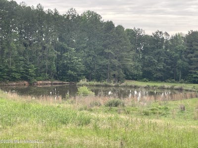 /international/us/niki-lane-pelahatchie-ms-110107869165/