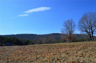 /international/us/tract-g-hanging-rock-forest-road-danbury-nc-110105971438/