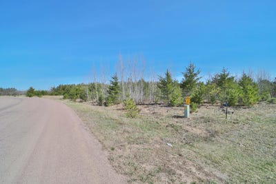 /international/us/dorado-drive-n-pillager-mn-110105839004/