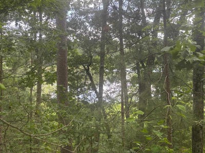 /international/us/bennett-road-amberg-wi-110096392514/
