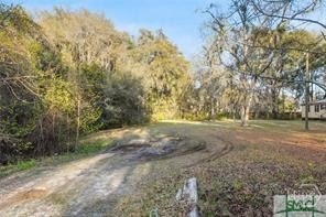 /international/us/0-marie-lot-9-marie-avenue-midway-ga-110106974128/