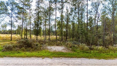 /international/us/922-rolling-pines-drive-livingston-tx-110107658531/