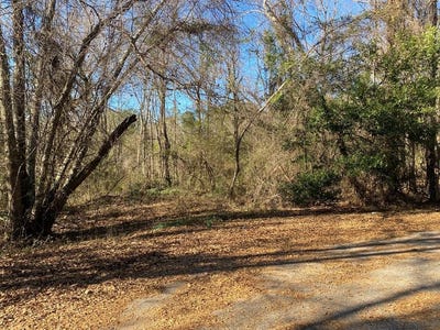 /international/us/pine-ridge-estates-lot-37-troy-al-110081697902/