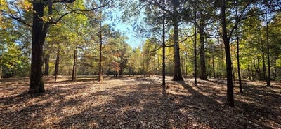 /international/us/6-acres-n-broad-st-cowarts-al-110103738404/